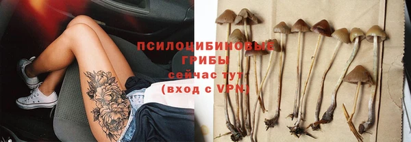 стафф Алзамай